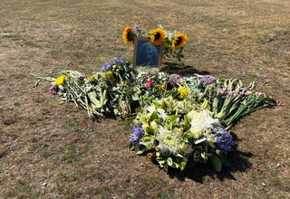 Gifts of flowers, including a wreath left by UK Reform leader Nigel Farage near Ann Widdecombe's home in Haytor, Dartmoor